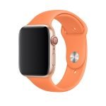 apple watch oranjeva 1