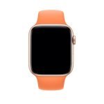 apple watch oranjeva 2